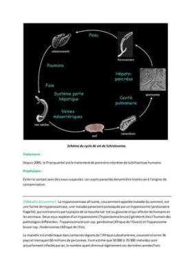  Schistosoma: Un Parasite Glouton qui Sème la Discorde dans le Système Vasculaire Humain !